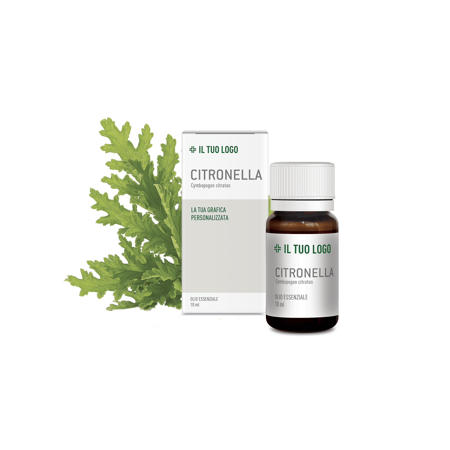 CITRONELLA ESSENTIAL OIL