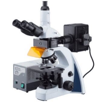 40X-1000X Infinity-corrected Fluorescence Microscope with LED Koehler Illumination and Quintuple Nosepiece